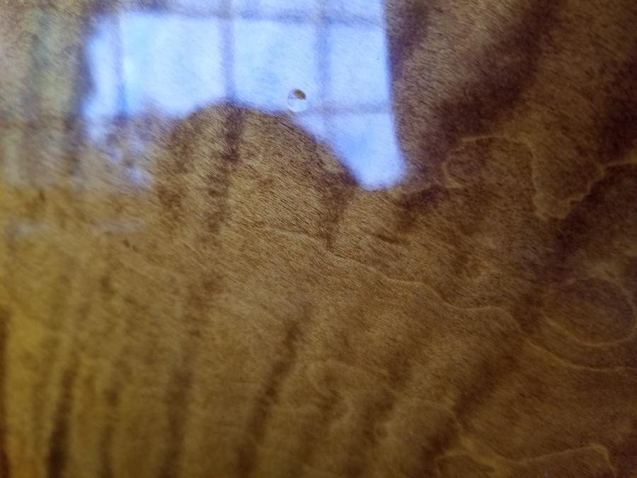 I dinged my Gibson ES-335 - How to Fix?-20181029_090151-jpg