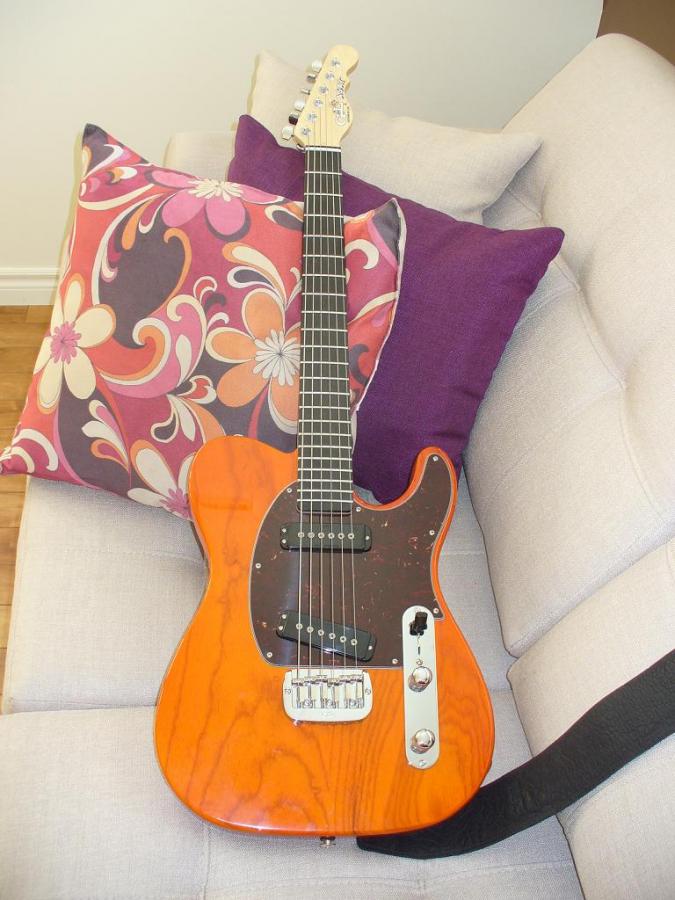 Telecasters. P90 or standard?-sm_g4-jpg