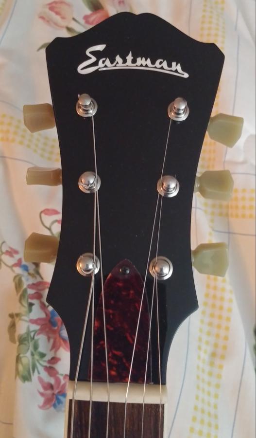 Played an Eastman T386 today-20181117_203708-1-jpg