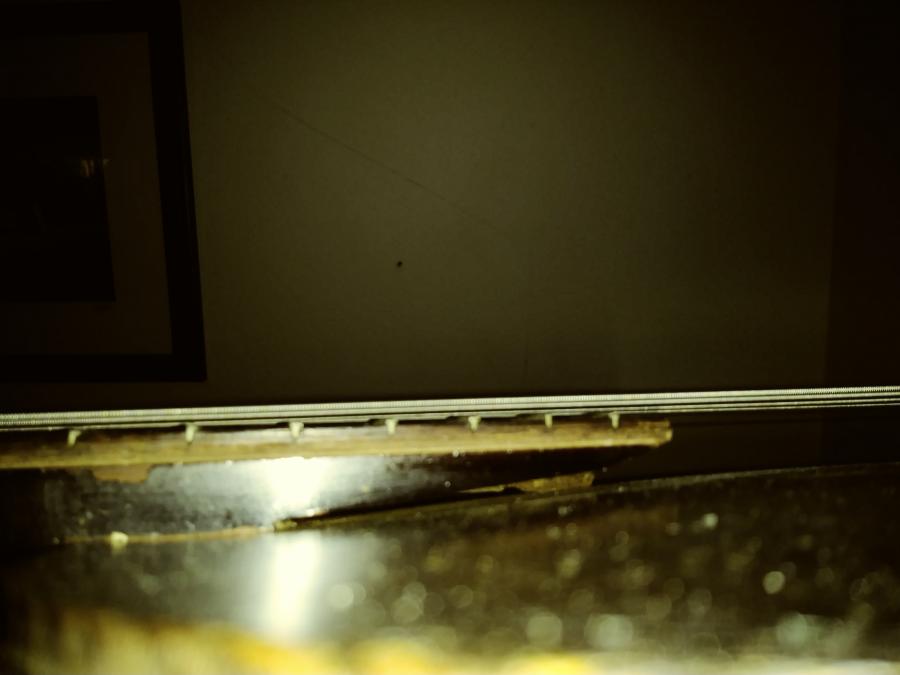 Should the adjustment rod channel on my Epi Blackstone be touching the top?-20181206_164756_film2-jpg