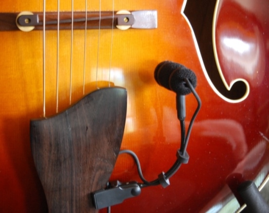 Natural Acoustic Archtop Sound - How to Amplify?-dsc_0018-b-jpg