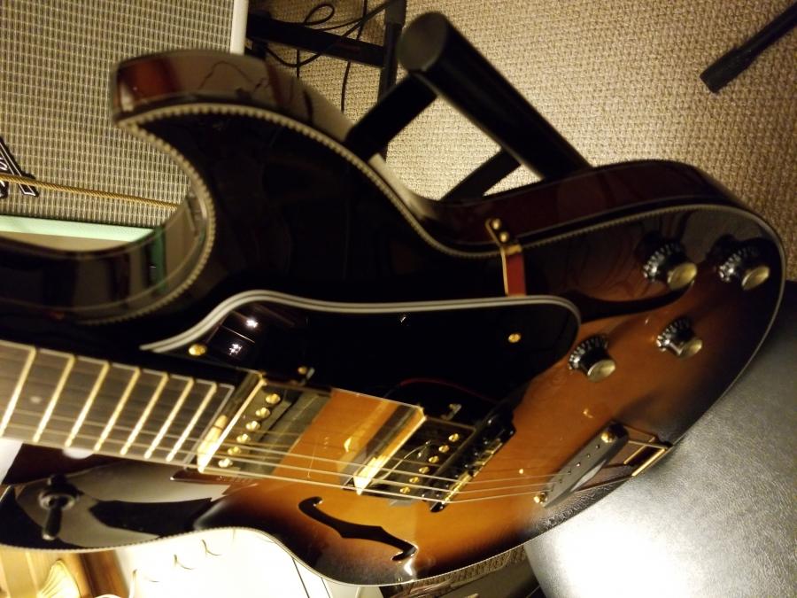 Seventy Seven Guitars-jazzhawk03-jpg