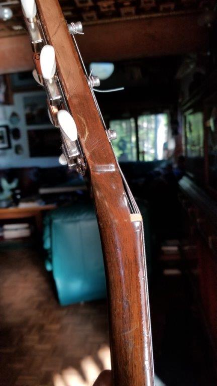Gibson ES-125 evaluation fun-20181231_124340-jpg