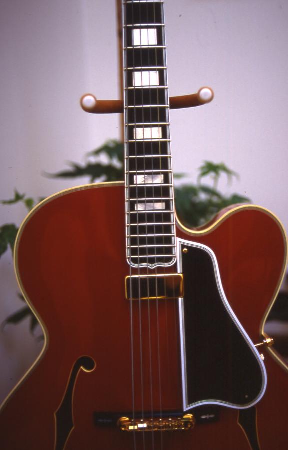 Help Finding the right (Gibson) instrument-gobel-bjb-front-jpg