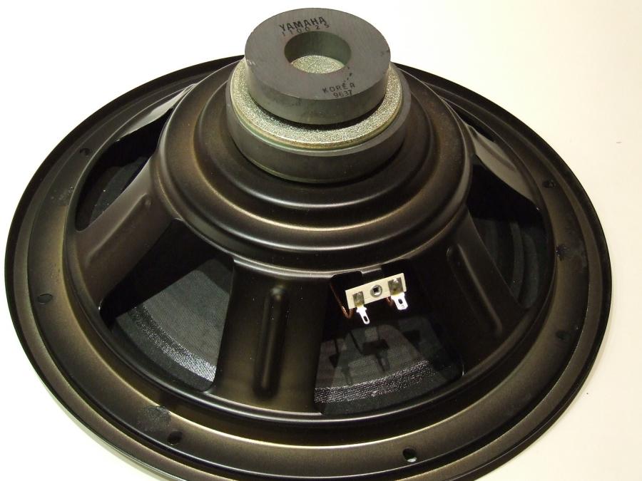 Speaker Polarity?-yamaha-1222-driver-jpg