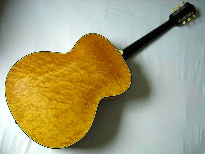 Hofner 459 Repair-hof-459-back-jpg