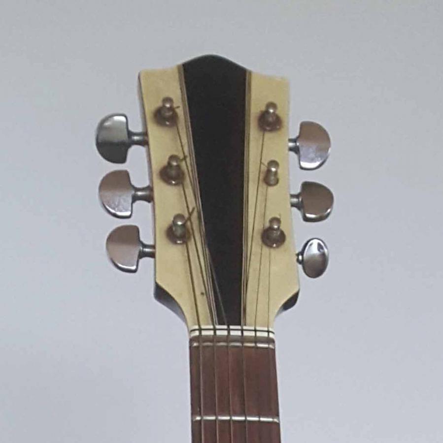 Hofner 459 Repair-hofner-8-jpg