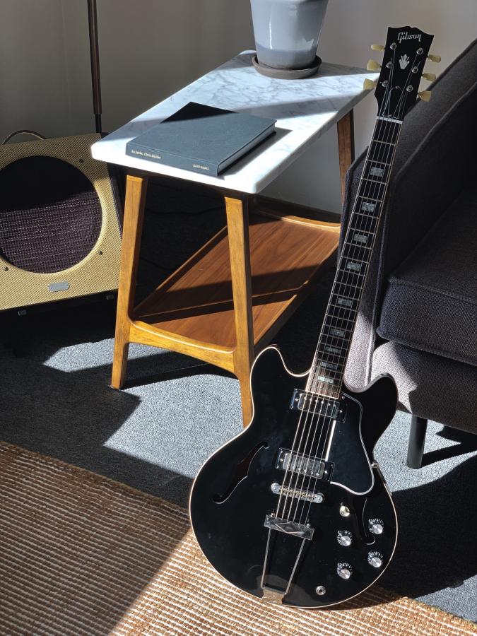 Acoustic Sounding Semi or Thinline with Humbucker or Mini Humbucker-4be4cca5-fee8-4f7f-a48f-04eed9709276-jpg