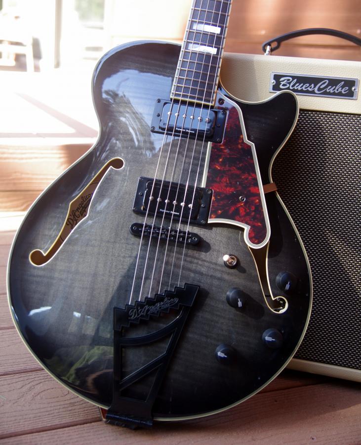 Acoustic Sounding Semi or Thinline with Humbucker or Mini Humbucker-1-imgp6057-jpg