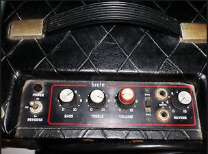 What is it about Polytone amps?-baby-brute-panel-jpg