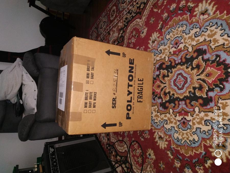 Polytone Amp in Original Cardboard-img_20190411_155700-jpg