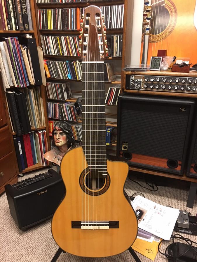 5+ Strings on Bass/ 8+ Strings on Guitars-10-string-jpg