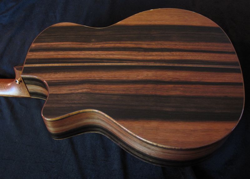 0,000+ NEW Archtop - Yikes!-taylorltdebonyback-800-jpg