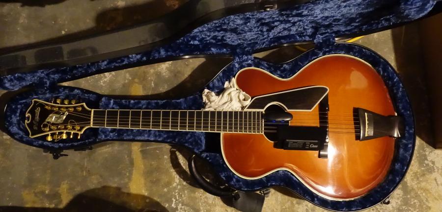 Caring for expensive archtop-guitar-jpg