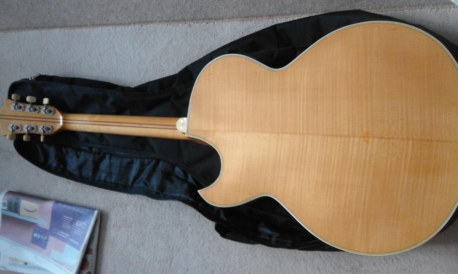 Where are the Hofner full body, (single) florentine cutaway specimens?-20191017_161000-jpg