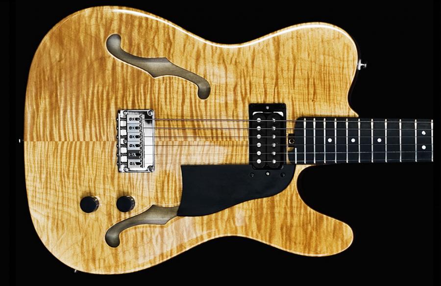 Joe Pass Gibson model?-tele-jpg