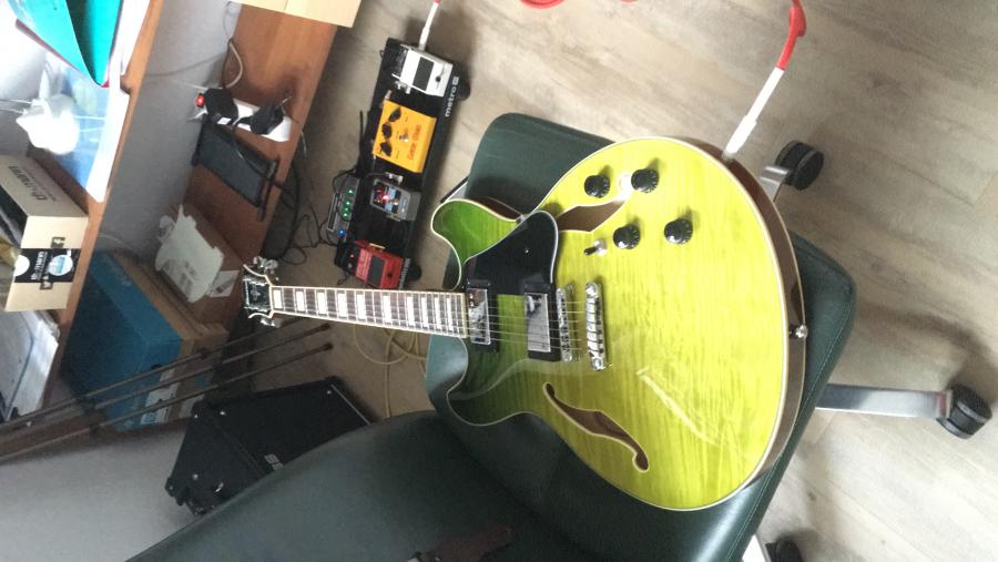 Epiphone dot, Sheraton, ES-339?-ibanez1-jpg