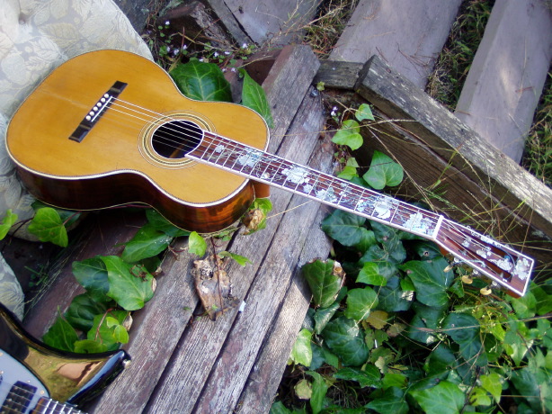 Couch guitar-p101012h-jpg
