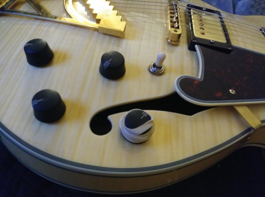 D'Angelico EX SS knobs are so slippery-ex-ss_knobs-jpg