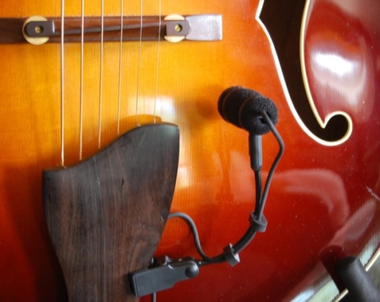 Natural Acoustic Archtop Sound - How to Amplify?-dsc_0018-b-2018_08_24-00_11_34-utc-jpg