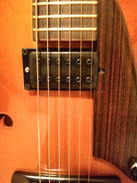 Stephen Holst Archtops-unknown-10-jpeg