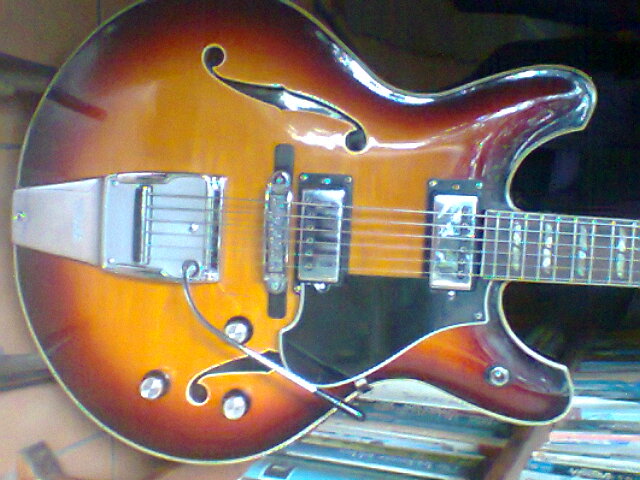 Hollow / Semi hollow body style preference-photo0297-jpg