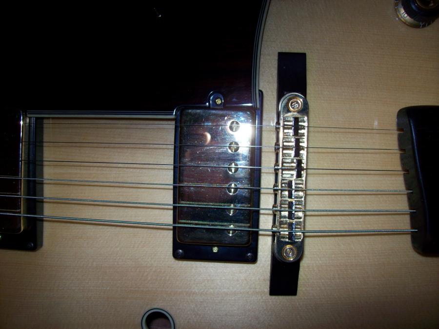 Ibanez GB30 - String and Intonation Problem-100_1694-jpg