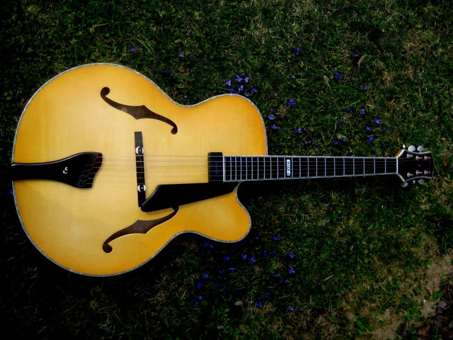 Carved Archtop Recommendations-img_4966-jpg