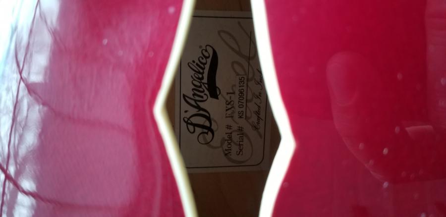D'angelico EXS-1 with CC pickup......-20200407_103110-jpg