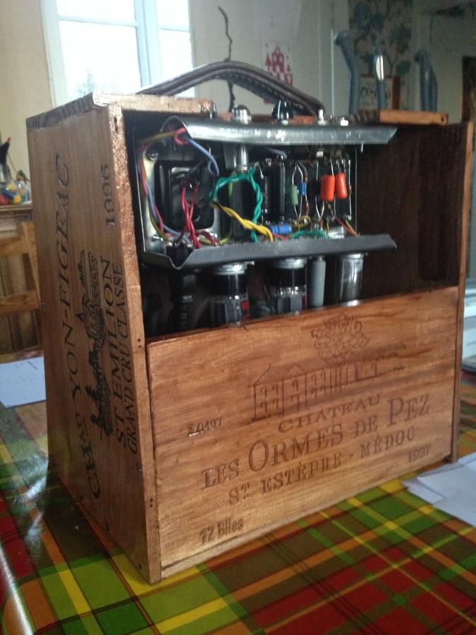 Anyone Built a Guitar Amp From a Kit?-img_0291-jpg