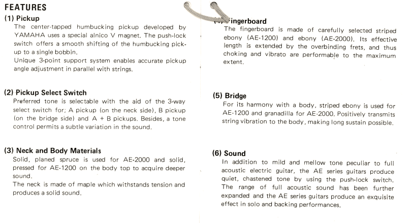 Yamaha AE2000-yamaha-ae1200-ae2000-owner-manual-extract1-png