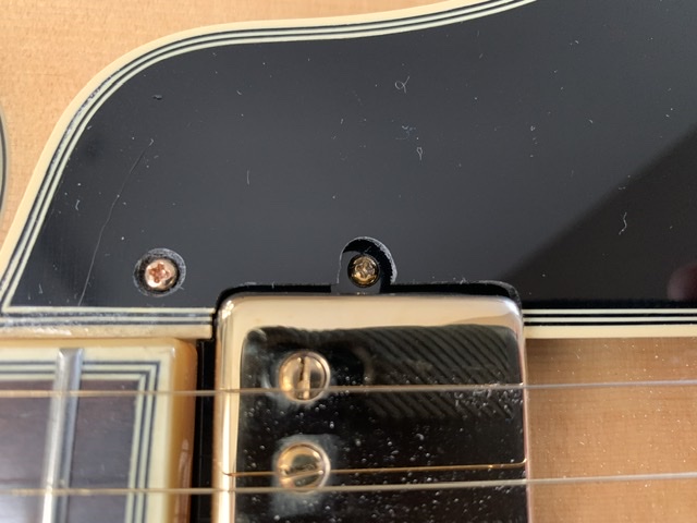 In Search of Pickguard for Gibson ES-775-977cb1d3-fc29-47eb-aca5-90a840385f09-jpeg