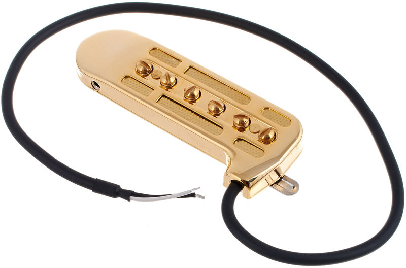 DeArmond 1100 Rhythm Chief