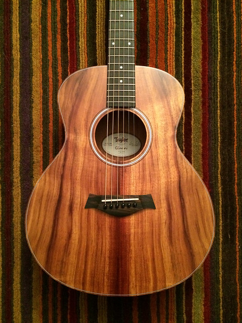 Acoustic Guitars that are "Voiced" for Jazz?-taylor-mini-gs-jpg