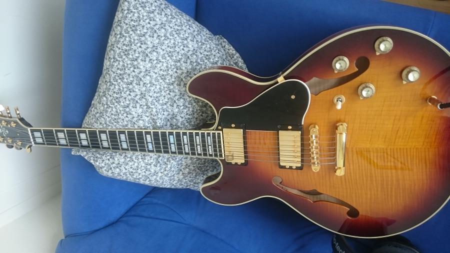 Semi-hollow help: Heritage, D'A, Eastman-dsc_3359-jpg