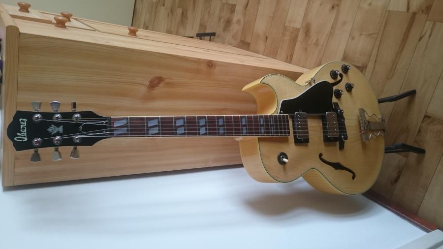 Semi-hollow help: Heritage, D'A, Eastman-dsc_3358-jpg