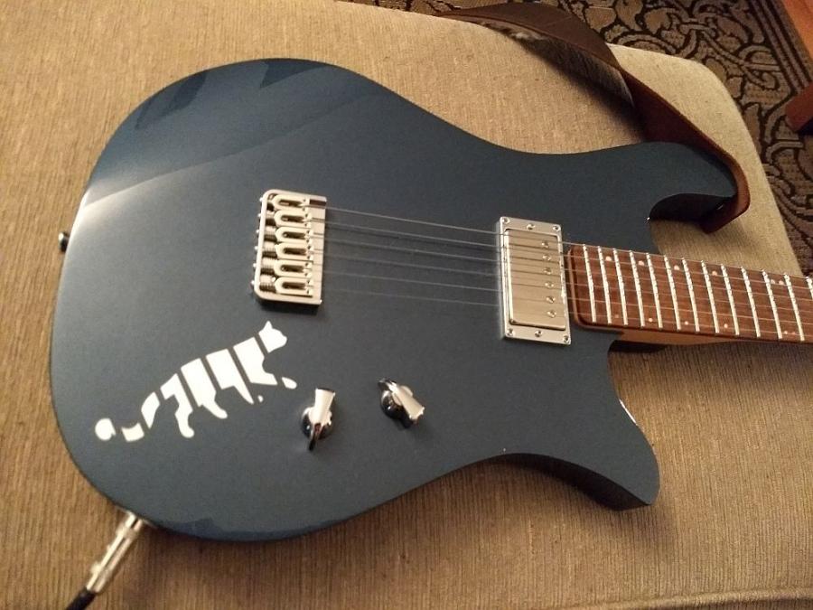 Quarantine Pastime - Post Your #1 Guitar-bluegoosecat1000-jpg