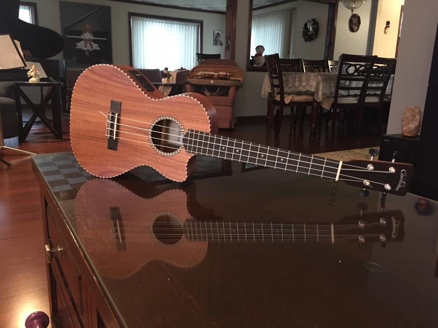 Quarantine Pastime - Post Your #1 Guitar-uke-jpg