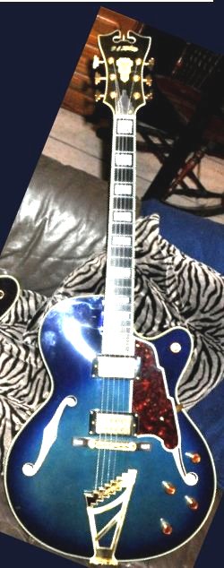 Anyone into Blue Guitars?-dangelico_blue-jpg