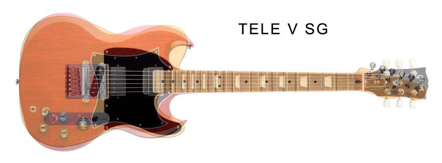 Using Epiphone dreadnought case for ES-175-case-fit-tele-v-sg-jpg