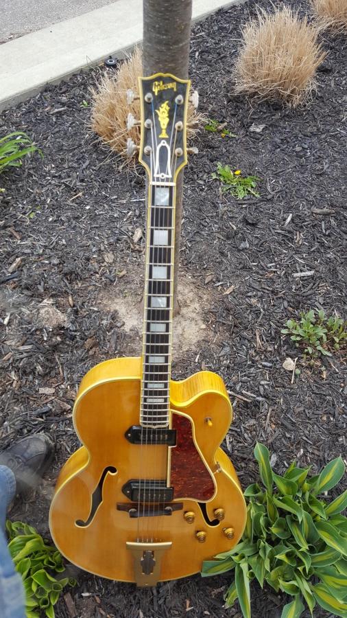 The Venerable Gibson L-5-d8061a99-08d9-492f-8895-f89fc48a3091-jpg