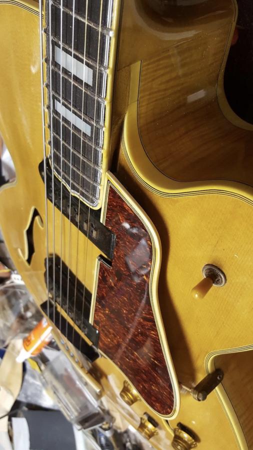 The Venerable Gibson L-5-647f5c6d-e307-4c90-aa01-7dd9c9695a2e-jpg