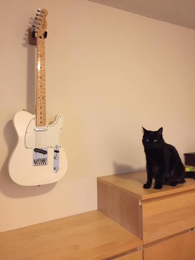 Telecaster Love Thread, No Archtops Allowed-tele-kiki-jpg