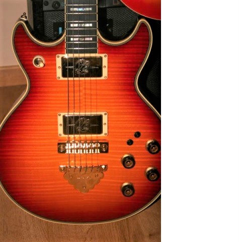 Dual Humbucker Solid Body Guitar Options-2619-jpg