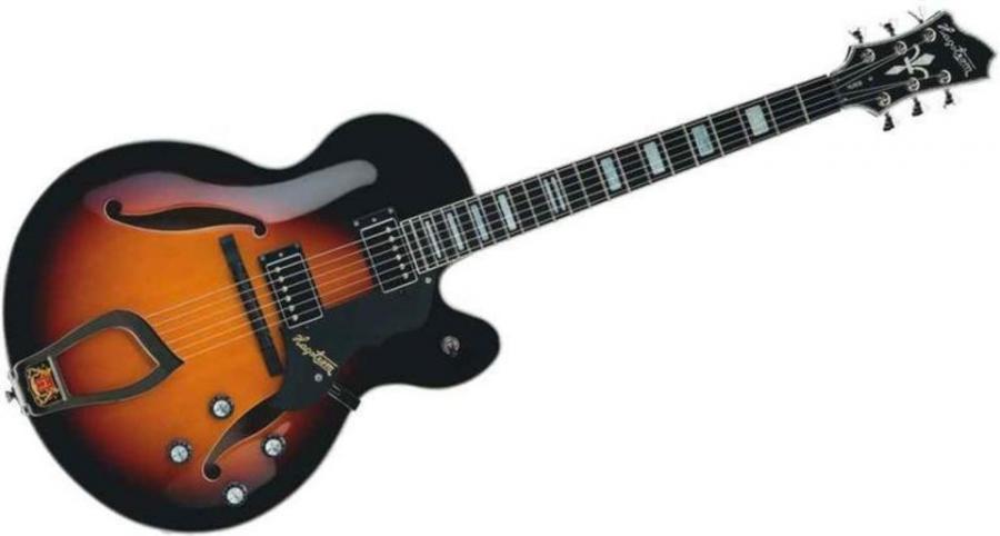 Hagstrom HJ800?-hagstrom-hj800-jpg