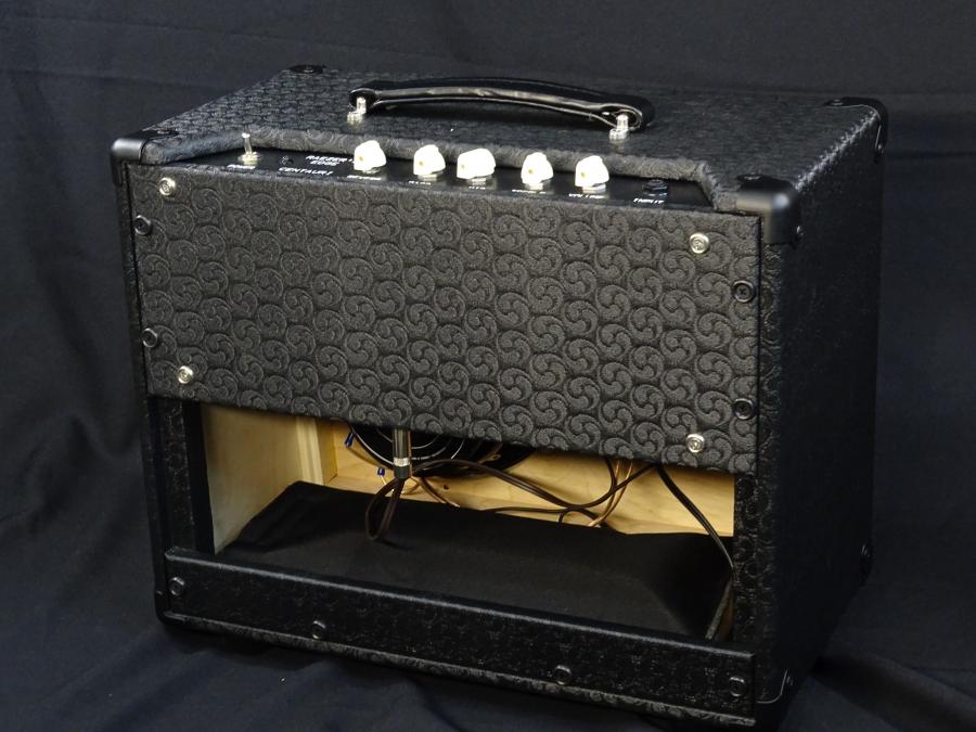 Raezer's Edge Centaur Hybrid Amp-dsc01333-jpg