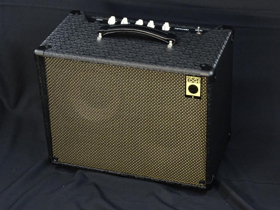 Raezer's Edge Centaur Hybrid Amp-dsc01335-jpg