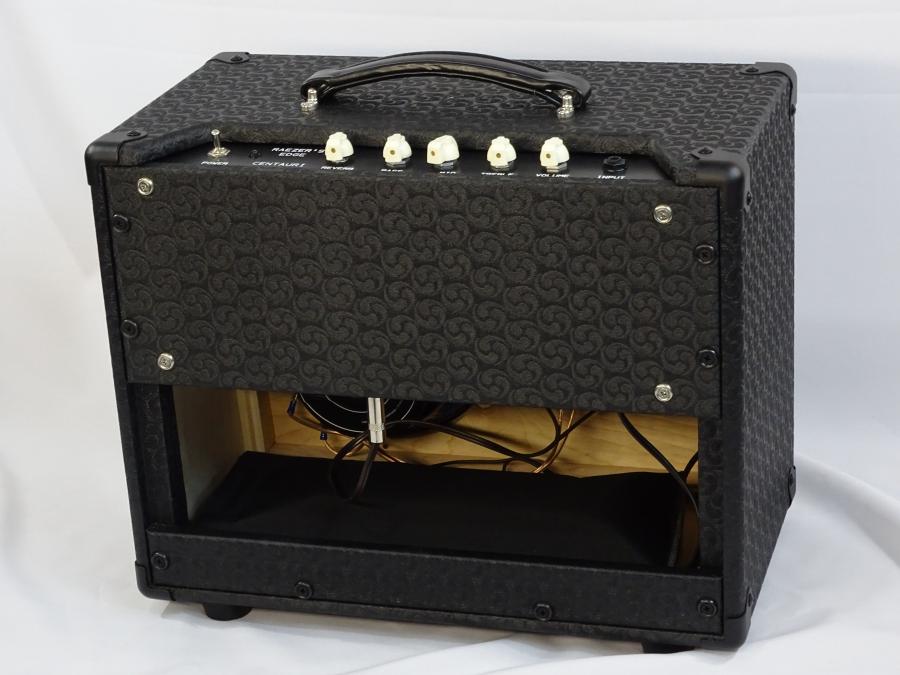 Raezer's Edge Centaur Hybrid Amp-dsc01339-jpg