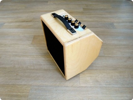 Good Small Practice Amp for Jazz-mambo-8-wedge-jpg