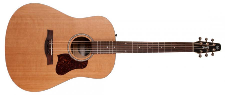 Godin Guitars?-godin-seagull-acoustic-jpg